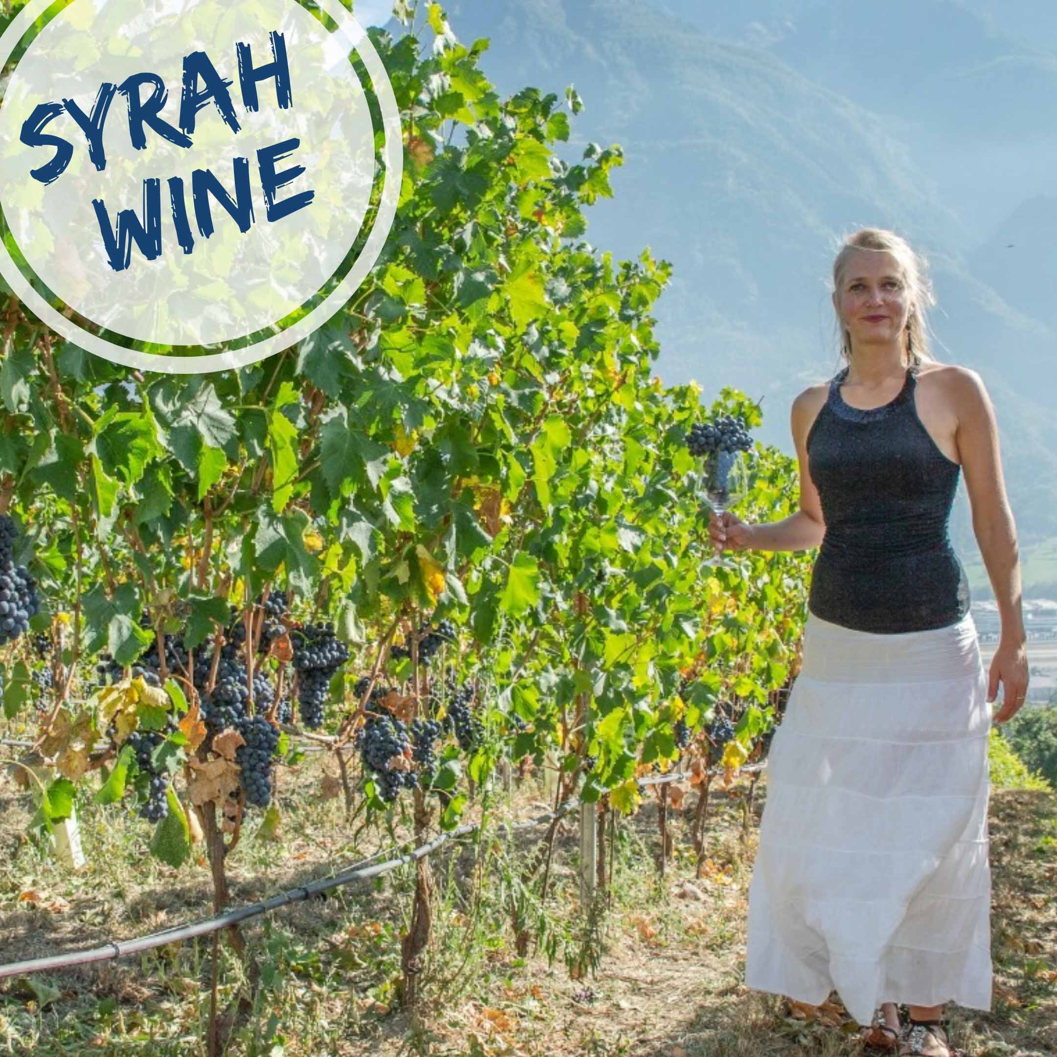 syrah wine tasting tour in aosta valley, courmayeur, cervinia, chamonix