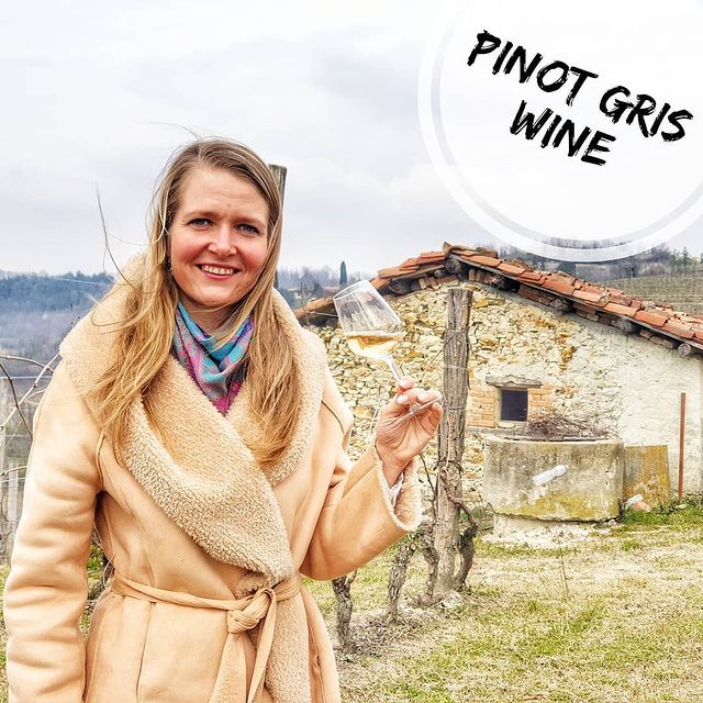 pinot grigio, pinot gris wine tasting tours in aosta valley from chamonix, courmayeur, cervinia, la thuile
