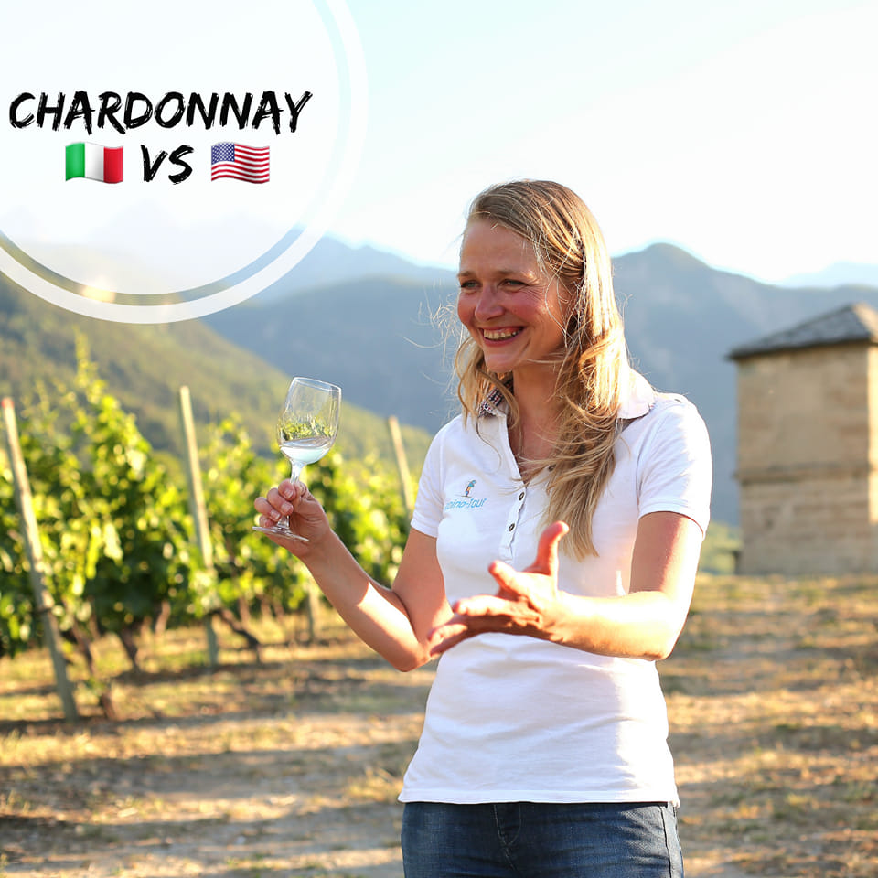 chardonnay difference american italian wine tasting aosta
